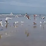 Riez Les Pieds Dans L'eau * Saint-Hilaire-de-Riez