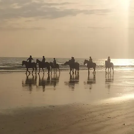 Riez Les Pieds Dans L'eau Daire Saint-Hilaire-de-Riez