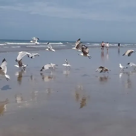 Riez Les Pieds Dans L'eau * Saint-Hilaire-de-Riez