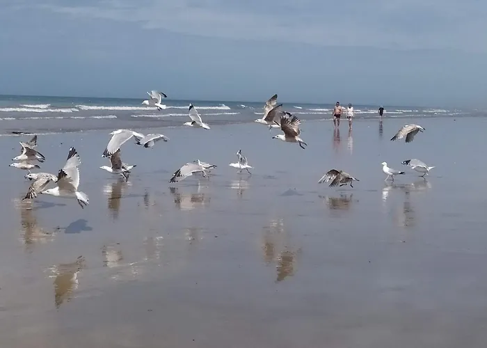 Riez Les Pieds Dans L'eau * Saint-Hilaire-de-Riez